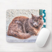 Maspalomas Cat Mousepad (Mit Mouse)