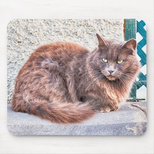 Maspalomas Cat Mousepad (Vorne)