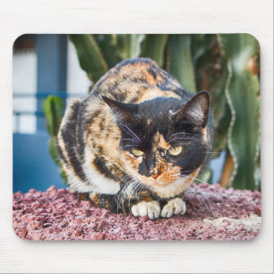 Maspalomas Cat Mousepad