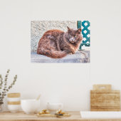 Maspalomas Cat Poster (Küche)
