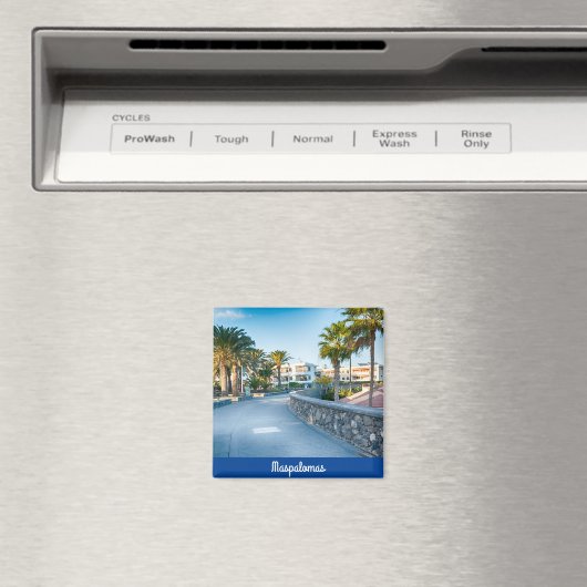 Maspalomas Magnet (In Situ (Geschirrspüler))