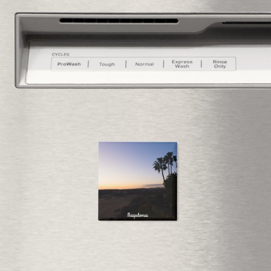 Maspalomas Magnet (In Situ (Geschirrspüler))