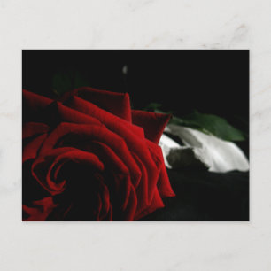 Masquerade Postkarte