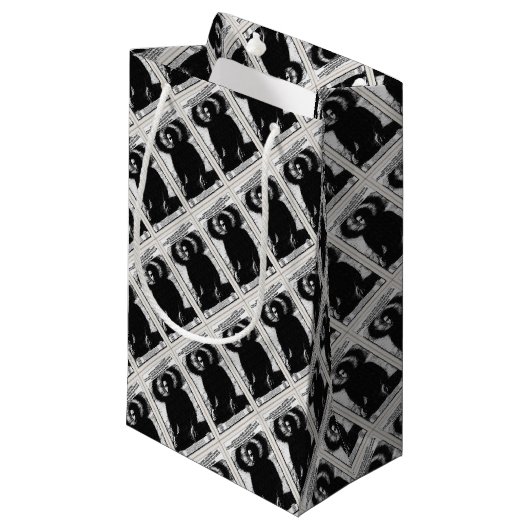 Mass Kleine Geschenktüte (Vorderseite Schrägansicht)