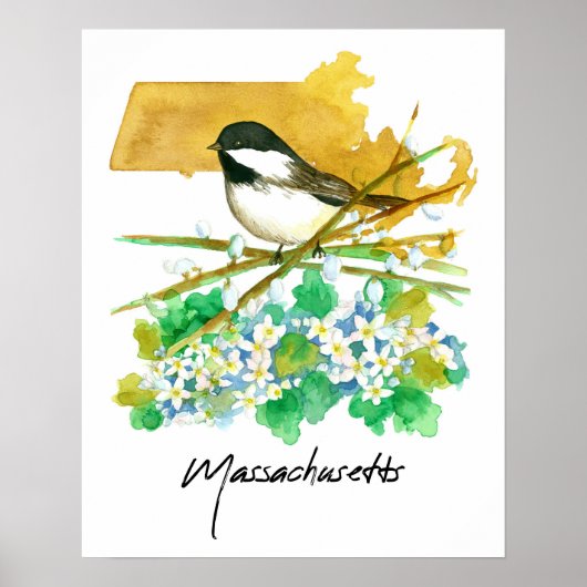 Massachusetts Bird Chickadee Willow Branches Poster (Vorne)