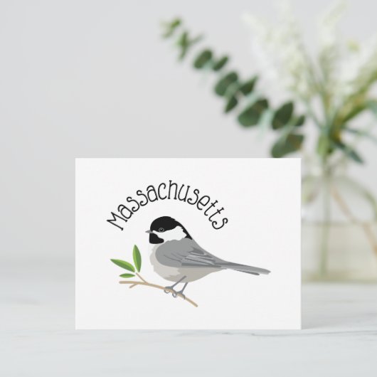 Massachusetts Chickadee Postkarte (Stehend Vorderseite)