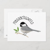 Massachusetts Chickadee Postkarte (Vorne/Hinten)