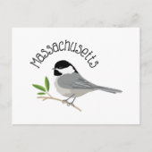 Massachusetts Chickadee Postkarte (Vorderseite)