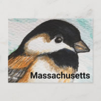 Massachusetts Chickadee Staat Vogelmalerei