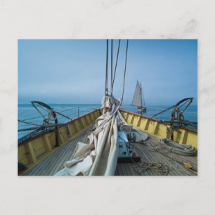 Massachusetts, Gloucester, Schoner-Festival 3 Postkarte