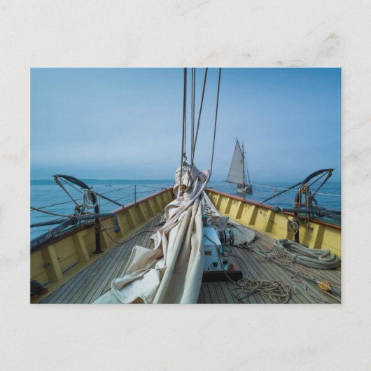 Massachusetts, Gloucester, Schooner Festival 3 Postkarte (Vorderseite)