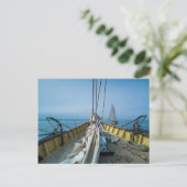 Massachusetts, Gloucester, Schooner Festival 3 Postkarte (Stehend Vorderseite)
