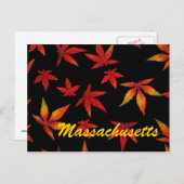 Massachusetts Herbstleaves Postkarte (Vorne/Hinten)