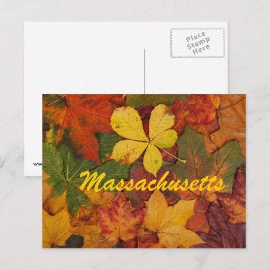 Massachusetts Herbstleaves Postkarte (Vorne/Hinten)