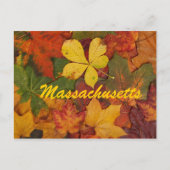 Massachusetts Herbstleaves Postkarte (Vorderseite)