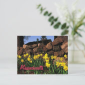 Massachusetts Postkarte (Stehend Vorderseite)