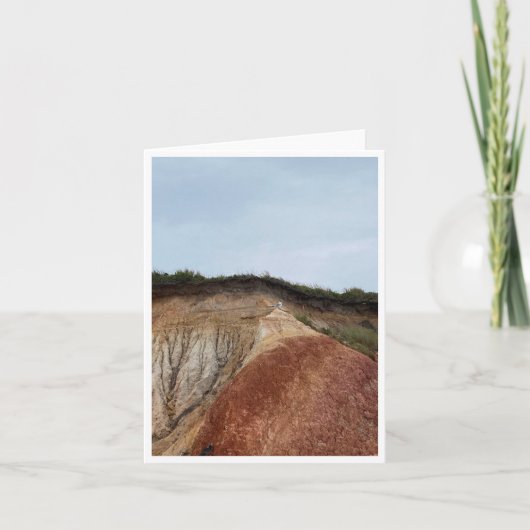 Massachusetts-Postkarte 6 Dankeskarte (Vorderseite)