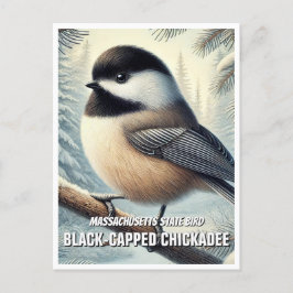 Massachusetts Staat Bird Black-Capped Chickadee Postkarte