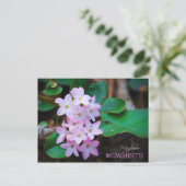 Massachusetts Staat Blume: Mayflower Postkarte (Stehend Vorderseite)