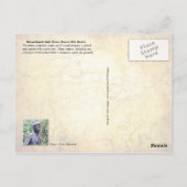 Massachusetts Staat House in Boston Postkarte (Rückseite)