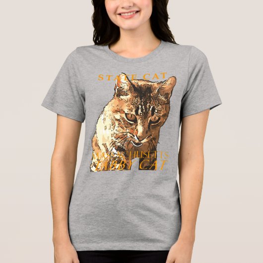 Massachusetts Territorialkatze Die Niedliche Tabby Tri-Blend Shirt (Vorderseite)