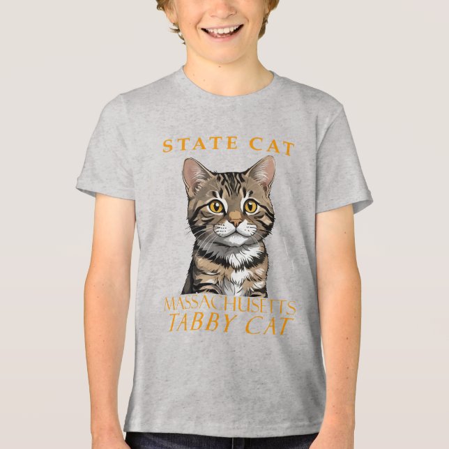 Massachusetts Territorialkatze Tri-Blend Shirt (Vorderseite)