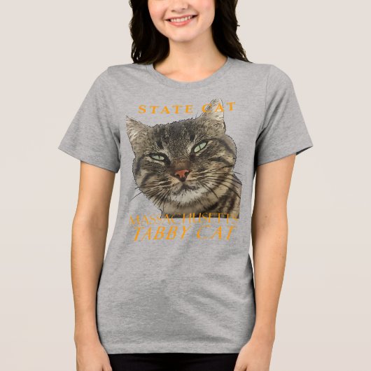 Massachusetts Territorialkatze Tri-Blend Shirt (Vorderseite)