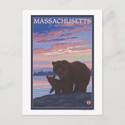MassachusettsBär und Cub Postkarte (Vorderseite)