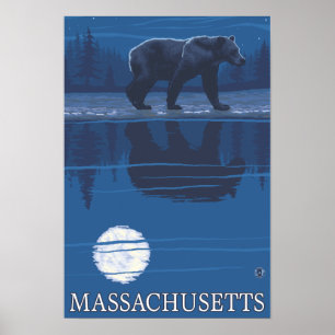 MassachusettsBear im Mondschein Poster