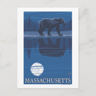 MassachusettsBear im Mondschein Postkarte