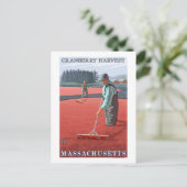 MassachusettsCranberry Bog Harvest Postkarte (Stehend Vorderseite)