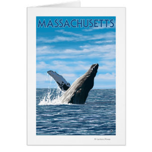 MassachusettsHumpback Whale Scene