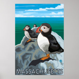 MassachusettsPuffins Szene Poster