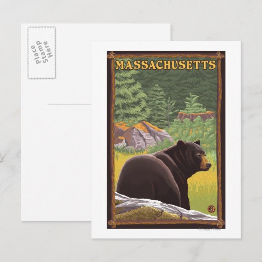 MassachusettsSchwarzer Bär im Wald Postkarte (Vorne/Hinten)