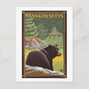 MassachusettsSchwarzer Bär im Wald Postkarte
