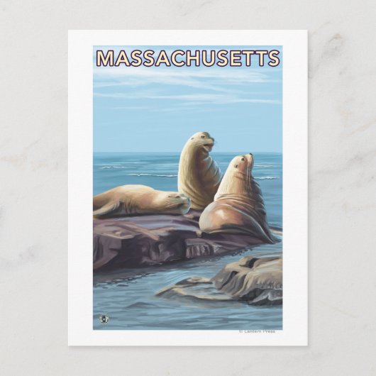 MassachusettsSea Lions Scene Postkarte (Vorderseite)