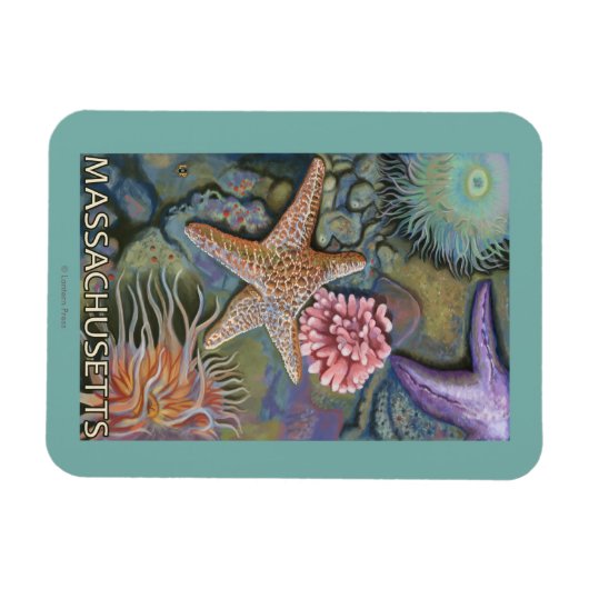 MassachusettsTidepool Scene Magnet (Horizontal)