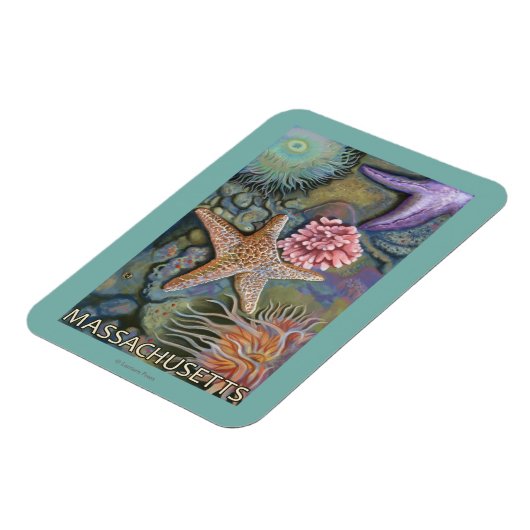 MassachusettsTidepool Scene Magnet (Linke Seite)
