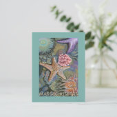 MassachusettsTidepool Scene Postkarte (Stehend Vorderseite)