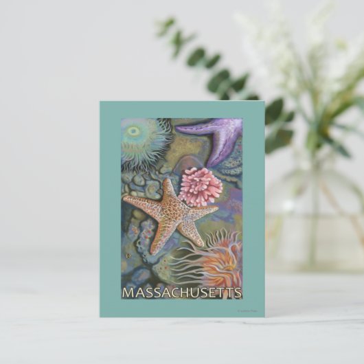 MassachusettsTidepool Scene Postkarte (Stehend Vorderseite)
