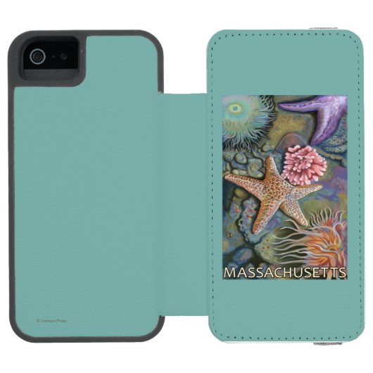 MassachusettsTidepool Szene Incipio iPhone Geldbeutel-Hülle (Folio Geöffnet)