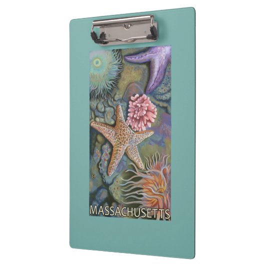 MassachusettsTidepool Szene Klemmbrett (Links)