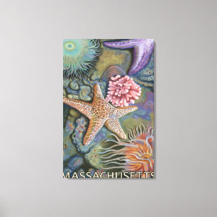 MassachusettsTidepool Szene Leinwanddruck