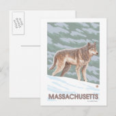 MassachusettsWolf Szene Postkarte (Vorne/Hinten)