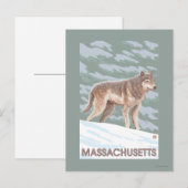 MassachusettsWolf Szene Postkarte (Vorne/Hinten)