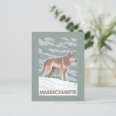 MassachusettsWolf Szene Postkarte (Stehend Vorderseite)