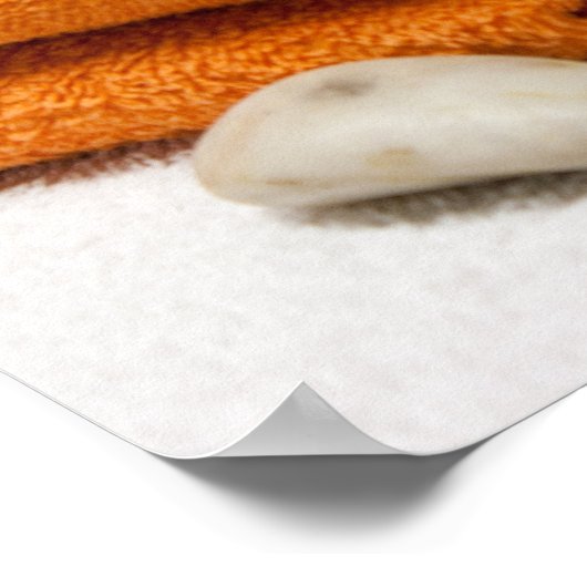 Massagetherapeuten Poster (Ecke)