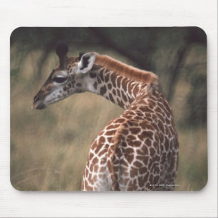 Massai Giraffe 2 Mousepad