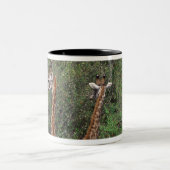 Massai Giraffe 3 Zweifarbige Tasse (Mittel)