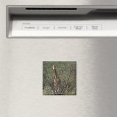 Massai Giraffe Magnet (In Situ (Geschirrspüler))